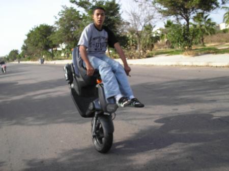 amine le pro